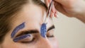 Eyebrow correction. The master removes excess hairs with wax and tweezers. Royalty Free Stock Photo