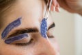 Eyebrow correction. The master removes excess hairs with wax and tweezers. Royalty Free Stock Photo