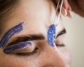 Eyebrow correction. The master removes excess hairs with wax and tweezers. Royalty Free Stock Photo