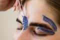 Eyebrow correction. The master removes excess hairs with wax and tweezers. Royalty Free Stock Photo