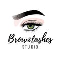 Eyebrow and eyelashes studio logo, beautiful perfect eye makeup design, long black lashes, vector