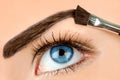 Eyebrow makeup Royalty Free Stock Photo