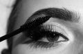 Eyebrow makeup. Macro close up of brows. Woman brushing brows with brows brush closeup. Natural beauty brows. Royalty Free Stock Photo