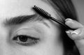 Eyebrow makeup. Woman brushing brows with brows brush closeup. Macro close up of brows. Royalty Free Stock Photo