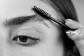 Eyebrow makeup. Woman brushing brows with brows brush closeup. Macro close up of brows. Royalty Free Stock Photo