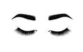 eyebrow perfectly shaped. permanent make-up and tattooing. Cosmetic for eyebrows. Eyelash extension. A beautiful make-up. Thick fu