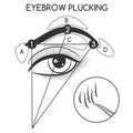 Eyebrow plucking concept Royalty Free Stock Photo