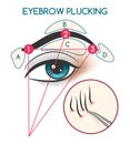 Eyebrow plucking illustration Royalty Free Stock Photo