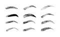 Eyebrow shapes. Various types of eyebrows. Classic type and other. Trimming. Vector illustration with different