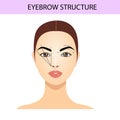 Eyebrow shaping tips, brows guide, vector illustration, tutorials Royalty Free Stock Photo