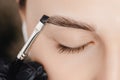 Correction and tint of eyebrows, master applies brush to woman marking on brow Royalty Free Stock Photo