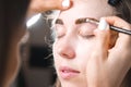 Eyebrow tinting. Close-up of a master applying eyebrow dye with a brush. Cosmetic procedures, permanent eyebrow makeup Royalty Free Stock Photo