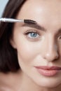 Eyebrows. Beautiful Woman Brushing Brows With Brush. Blue-Eyed Girl Close Up Portrait. Female With Perfect Skin. Royalty Free Stock Photo