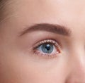 Eyebrows Care. Closeup Of Woman Beautiful Blue Eye, Perfect Shaped Brow, Long Eyelashes With Professional Makeup And Brow Gel