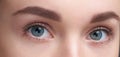 Eyebrows Care. Closeup Of Woman Beautiful Blue Eye, Perfect Shaped Brow, Long Eyelashes With Professional Makeup And Brow Gel Brus