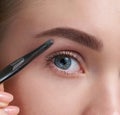 Eyebrows Care. Closeup Of Woman Beautiful Blue Eye, Perfect Shaped Brow, Long Eyelashes With Professional Makeup And Brow Gel Brus