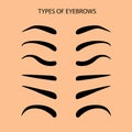 Eyebrows Set Flat Vector Illustration