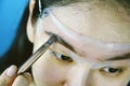 Eyebrows shaping makeup template, Asian women filling eyebrows to look thicker. Royalty Free Stock Photo