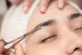 Eyebrows trimming service in spa salon, Face hair cutting and trim with small scissor tool for facial beauty women closeup Royalty Free Stock Photo