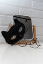 The eyeglasses are in front of the mirror. A black cat mask. Royalty Free Stock Photo