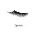 Eyelash extension. Beautiful black long eyelashes. Closed eye . False beauty cilia. Mascara natural effect. Professional Royalty Free Stock Photo