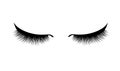 Eyelash extension. Beautiful black long eyelashes. Closed eye . False beauty cilia. Mascara natural effect. Professional