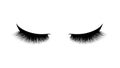 Eyelash extension. Beautiful black long eyelashes. Closed eye . False beauty cilia. Mascara natural effect. Professional glamor ma
