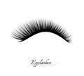 Eyelash extension. Beautiful black long eyelashes. False beauty cilia. Mascara natural effect. Professional glamor Royalty Free Stock Photo