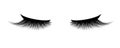 Eyelash extension. A beautiful make-up. Thick cilia. Mascara for volume and length.