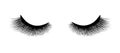 Eyelash extension. A beautiful make-up. Thick fuzzy cilia. Mascara for volume and length. Royalty Free Stock Photo