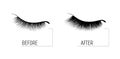 Eyelash extension. A beautiful make-up. Thick fuzzy cilia. Mascara for volume and length. Before and after the procedure