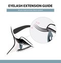 Eyelash extension guide. Eyelashes grow. Eyelid. Side view. Infographic vector illustration Royalty Free Stock Photo