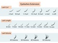 Eyelash extension guide. Infographic vector illustration. Training poster Royalty Free Stock Photo