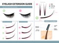 Eyelash extension guide. Tips and tricks for lash extension. Infographic vector illustration. Correct and incorrect attachment Royalty Free Stock Photo
