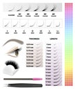 Eyelash extension, infographic table, vector illustration Royalty Free Stock Photo