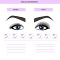 Eyelash extension infographics. Step by step guide. Types of Lash Curls, vector illustration