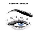 Eyelash extension microblading beauty procedure. Beauty salon cosmetic treatment, meakeup, self care illustration in vector