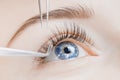 Eyelash extension procedure. Beautiful female eyes with long lashes, closeup