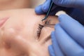 Eyelash extension procedure close up. Beautiful woman with long eyelashes in a beauty salon. Makeup concept Royalty Free Stock Photo