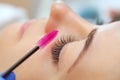 Eyelash extension procedure close up. Beautiful woman with long eyelashes in a beauty salon. Makeup concept Royalty Free Stock Photo