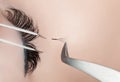 Eyelash extension procedure close up. Royalty Free Stock Photo