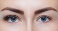 Eyelash extension procedure close up. Royalty Free Stock Photo