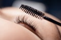 Eyelash extension procedure with comb. Black fake long lashes beautiful woman eyes