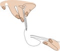 Eyelash Extension Procedure. Vector Illustration Royalty Free Stock Photo