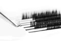 Eyelash extension procedure. Lashes tweezers set macro photo, isolated white background Royalty Free Stock Photo