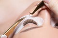 Eyelash Extension Procedure. Woman Eye with Long Eyelashes Royalty Free Stock Photo