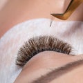 Eyelash Extension Procedure. Woman Eye with Long Eyelashes Royalty Free Stock Photo