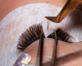 Eyelash Extension Procedure. Woman Eye with Long Eyelashes Royalty Free Stock Photo