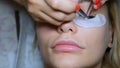 Eyelash Extension Procedure. Woman Eye with Long Eyelashes. Lashes, close up