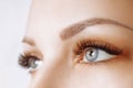 Eyelash Extension Procedure. Woman Eye with Long Eyelashes. Close up, selective focus. Royalty Free Stock Photo